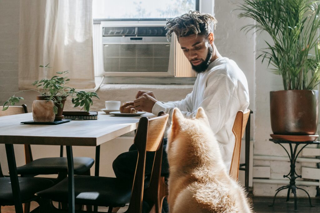 A young man shares a breakfast moment with his Akita dog at home.