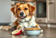 Can Dogs Eat Applesauce? Safe or Not?